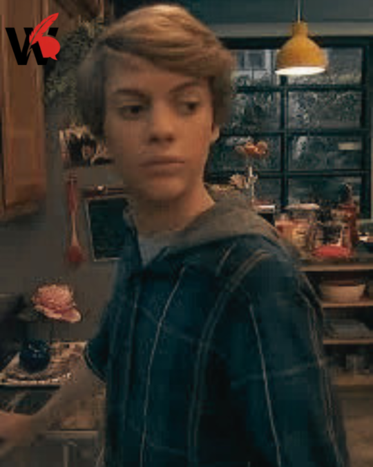 Henry Danger Meme Henry Danger Meme