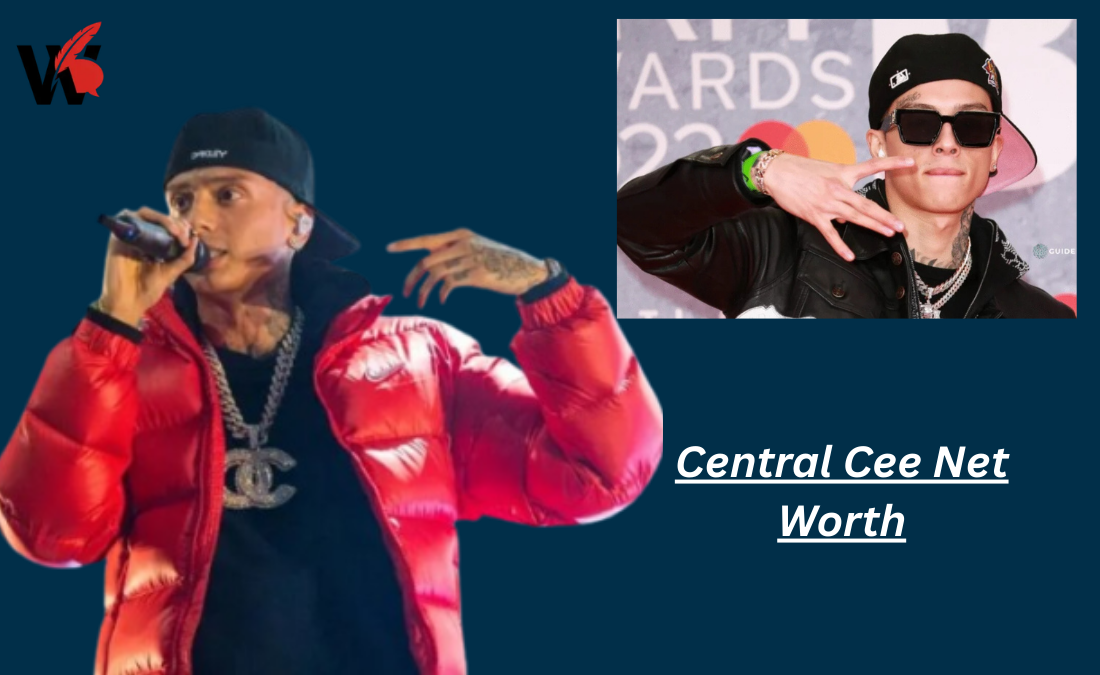 Central Cee Net Worth