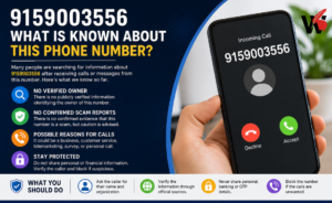 9159003556: What Is Known About This Phone Number? 9159003556